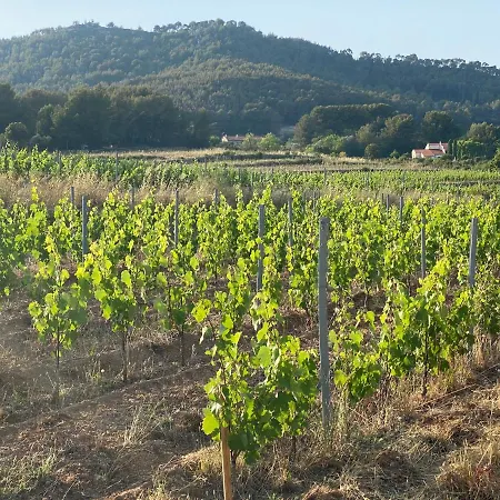 Διαμέρισμα Rez-de-villa Proche De La - Temana *